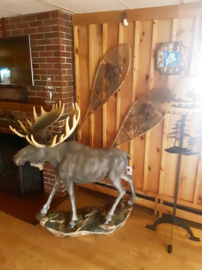 Maine Woods Inn Brewer Esterno foto